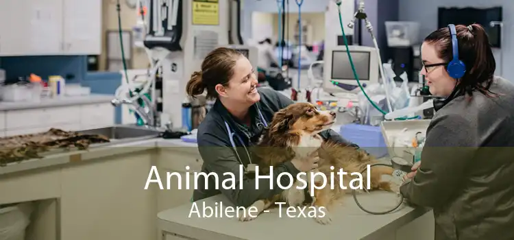 Animal Hospital Abilene - Texas