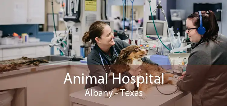 Animal Hospital Albany - Texas