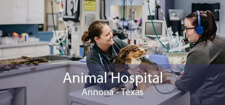 Animal Hospital Annona - Texas