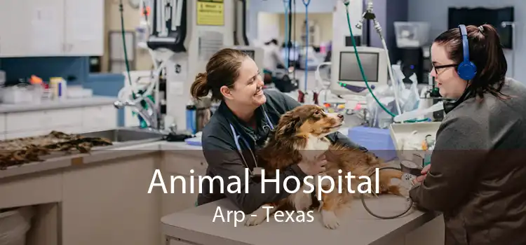 Animal Hospital Arp - Texas