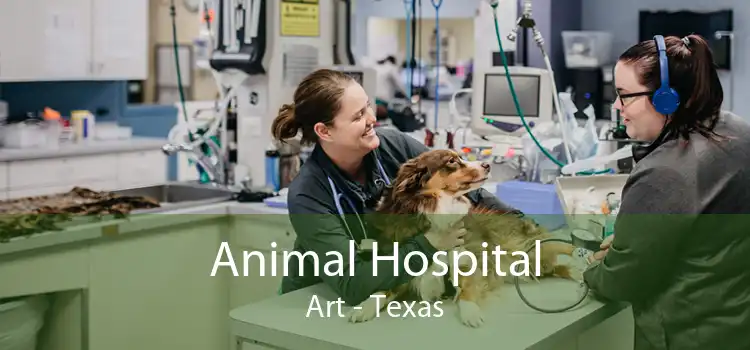 Animal Hospital Art - Texas