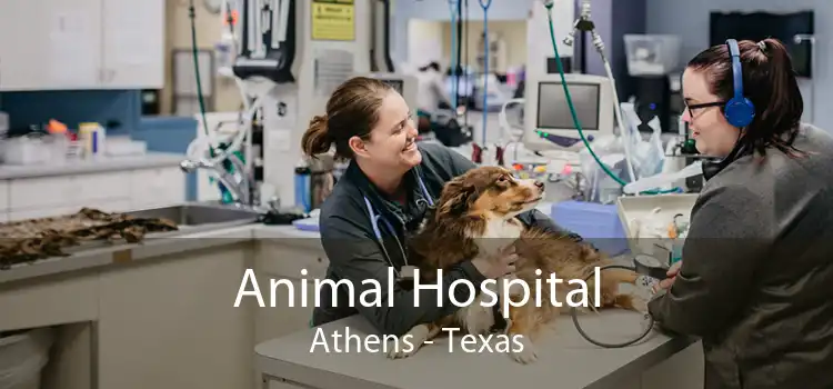 Animal Hospital Athens - Texas