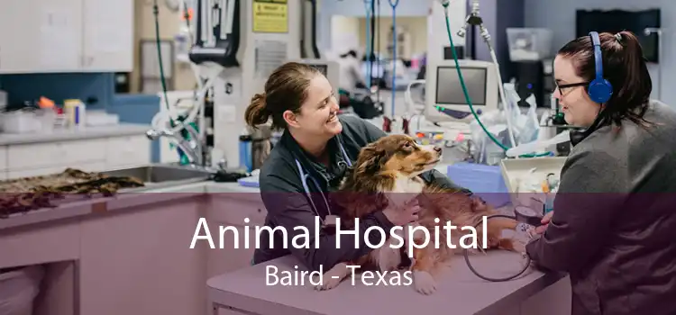 Animal Hospital Baird - Texas