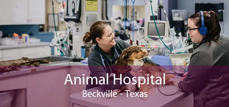 Animal Hospital Beckville - Texas