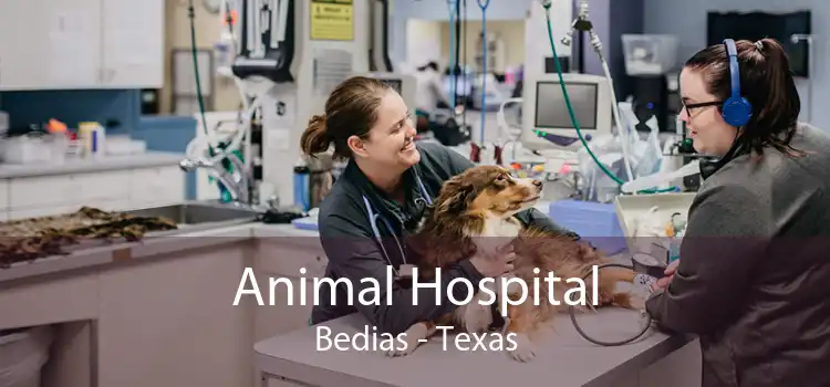 Animal Hospital Bedias - Texas