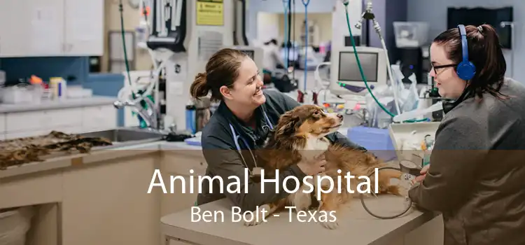 Animal Hospital Ben Bolt - Texas