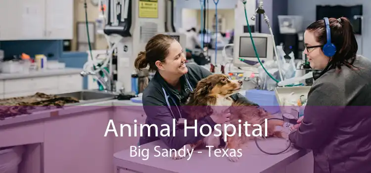 Animal Hospital Big Sandy - Texas