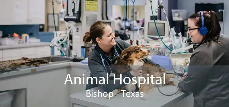 Animal Hospital Bishop - Texas