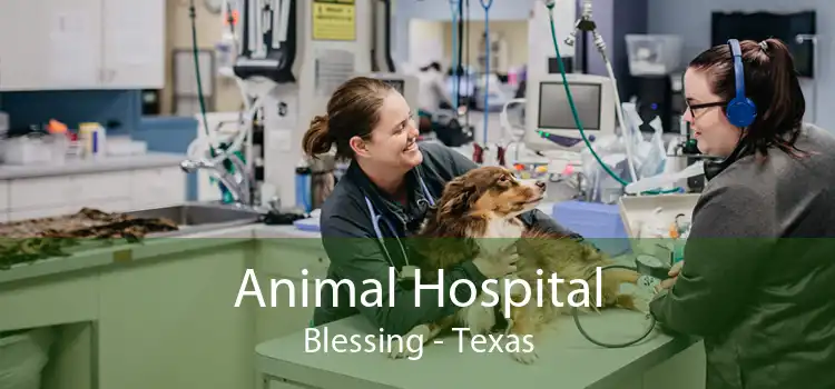 Animal Hospital Blessing - Texas