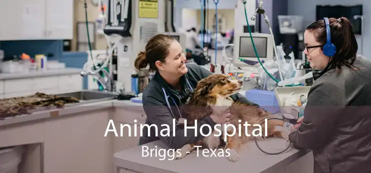 Animal Hospital Briggs - Texas