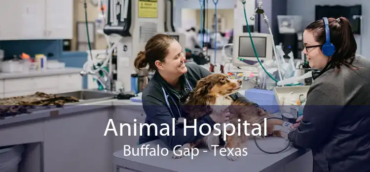 Animal Hospital Buffalo Gap - Texas