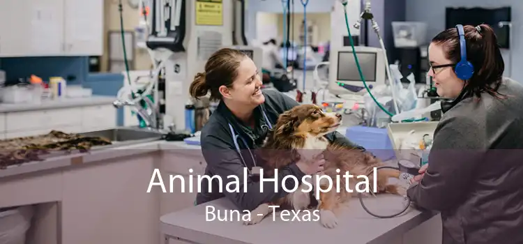 Animal Hospital Buna - Texas