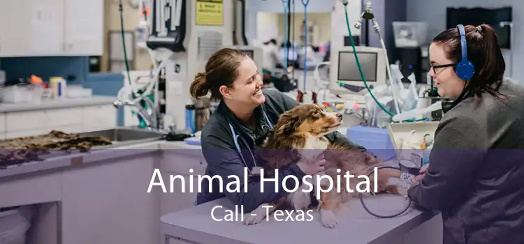 Animal Hospital Call - Texas
