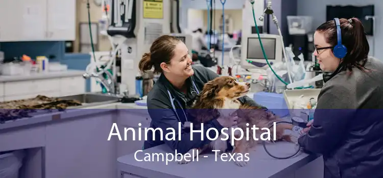 Animal Hospital Campbell - Texas