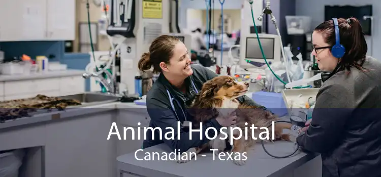 Animal Hospital Canadian - Texas