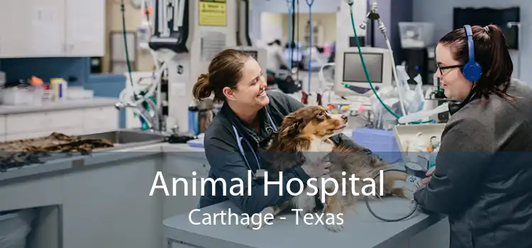 Animal Hospital Carthage - Texas