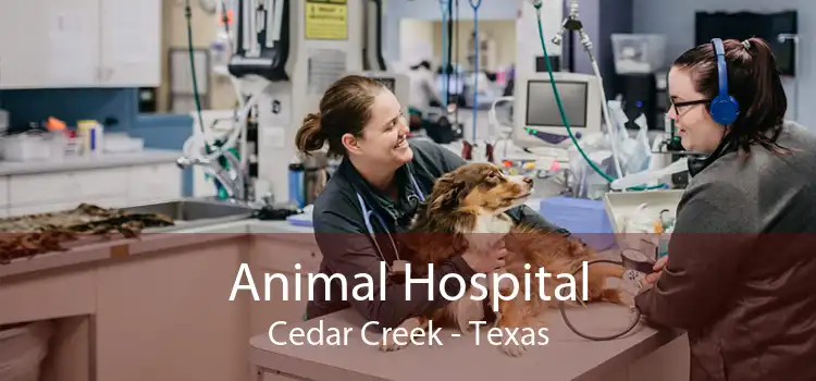 Animal Hospital Cedar Creek - Texas