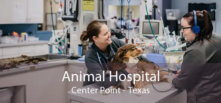 Animal Hospital Center Point - Texas