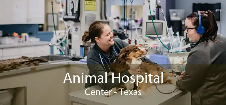 Animal Hospital Center - Texas