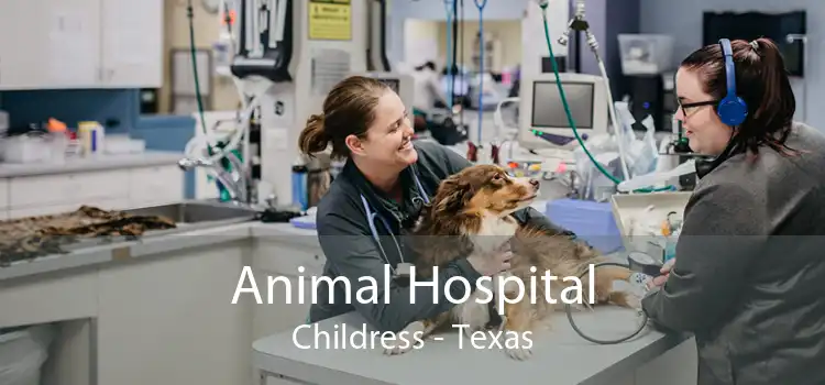 Animal Hospital Childress - Texas