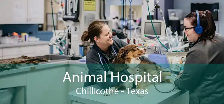 Animal Hospital Chillicothe - Texas