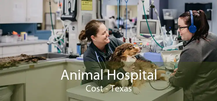 Animal Hospital Cost - Texas