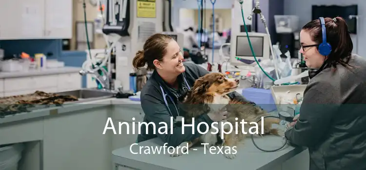 Animal Hospital Crawford - Texas