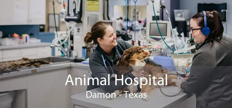 Animal Hospital Damon - Texas