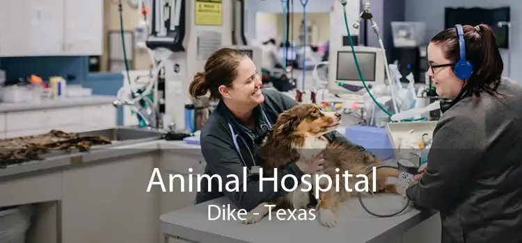 Animal Hospital Dike - Texas