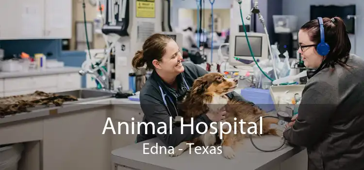 Animal Hospital Edna - Texas