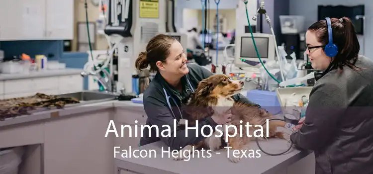 Animal Hospital Falcon Heights - Texas