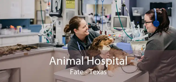 Animal Hospital Fate - Texas