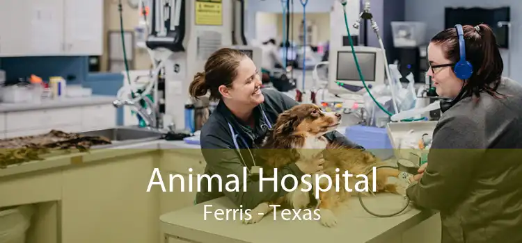 Animal Hospital Ferris - Texas