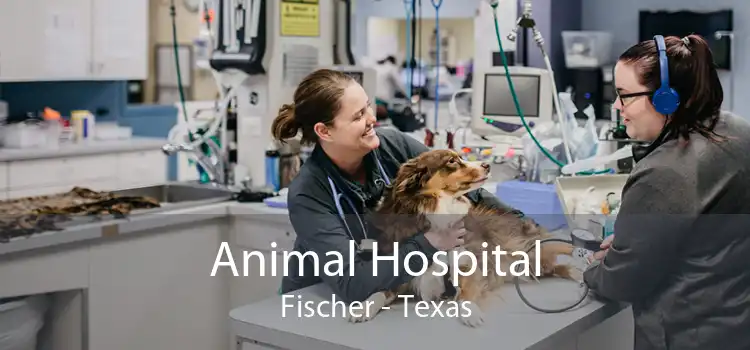 Animal Hospital Fischer - Texas