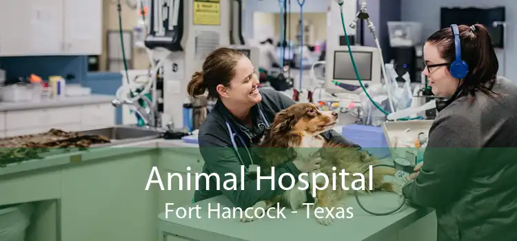 Animal Hospital Fort Hancock - Texas