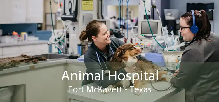 Animal Hospital Fort McKavett - Texas