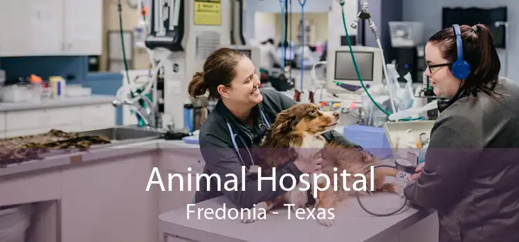 Animal Hospital Fredonia - Texas