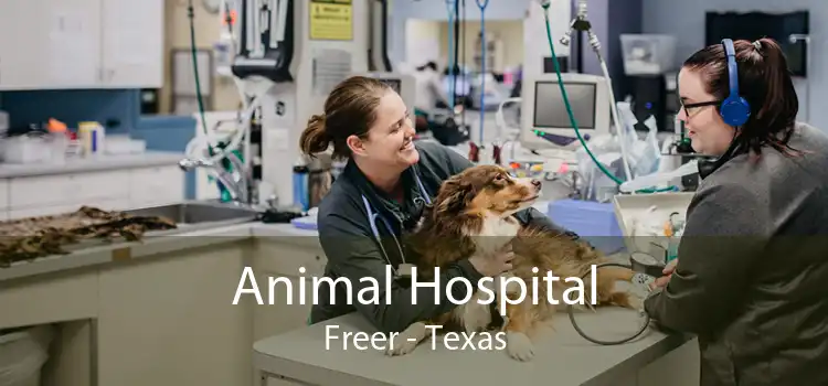 Animal Hospital Freer - Texas