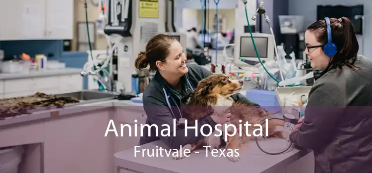 Animal Hospital Fruitvale - Texas