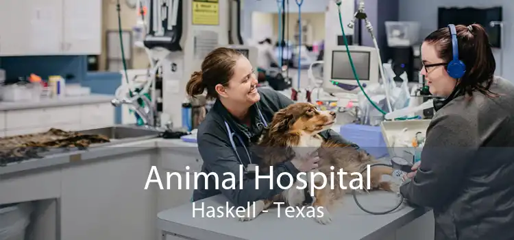 Animal Hospital Haskell - Texas