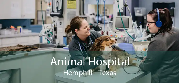 Animal Hospital Hemphill - Texas