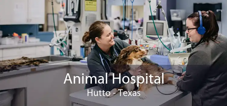 Animal Hospital Hutto - Texas