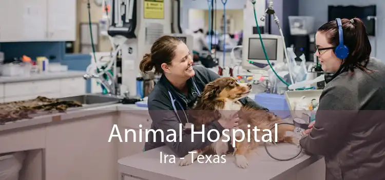 Animal Hospital Ira - Texas