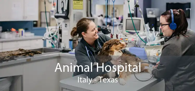 Animal Hospital Italy - Texas