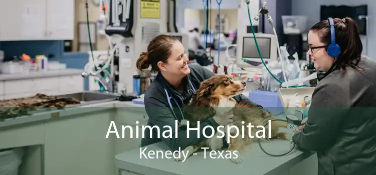 Animal Hospital Kenedy - Texas