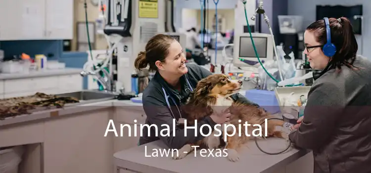 Animal Hospital Lawn - Texas