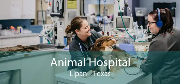 Animal Hospital Lipan - Texas