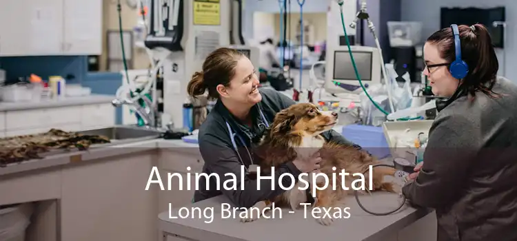 Animal Hospital Long Branch - Texas