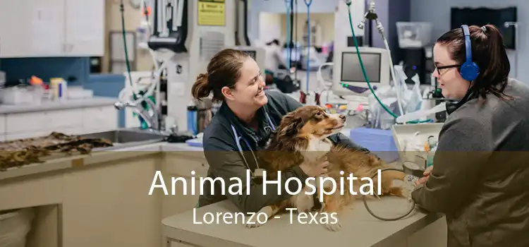 Animal Hospital Lorenzo - Texas