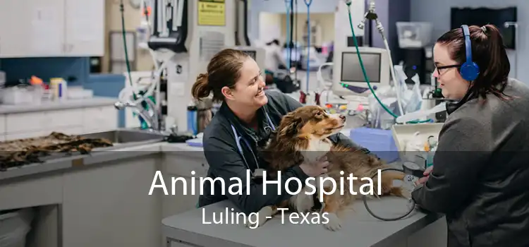 Animal Hospital Luling - Texas